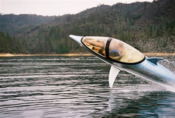 [Image: dolphin-boat.jpg]