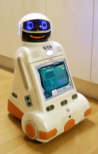 Robot Nanny - The Fact, The Science Fiction in the News